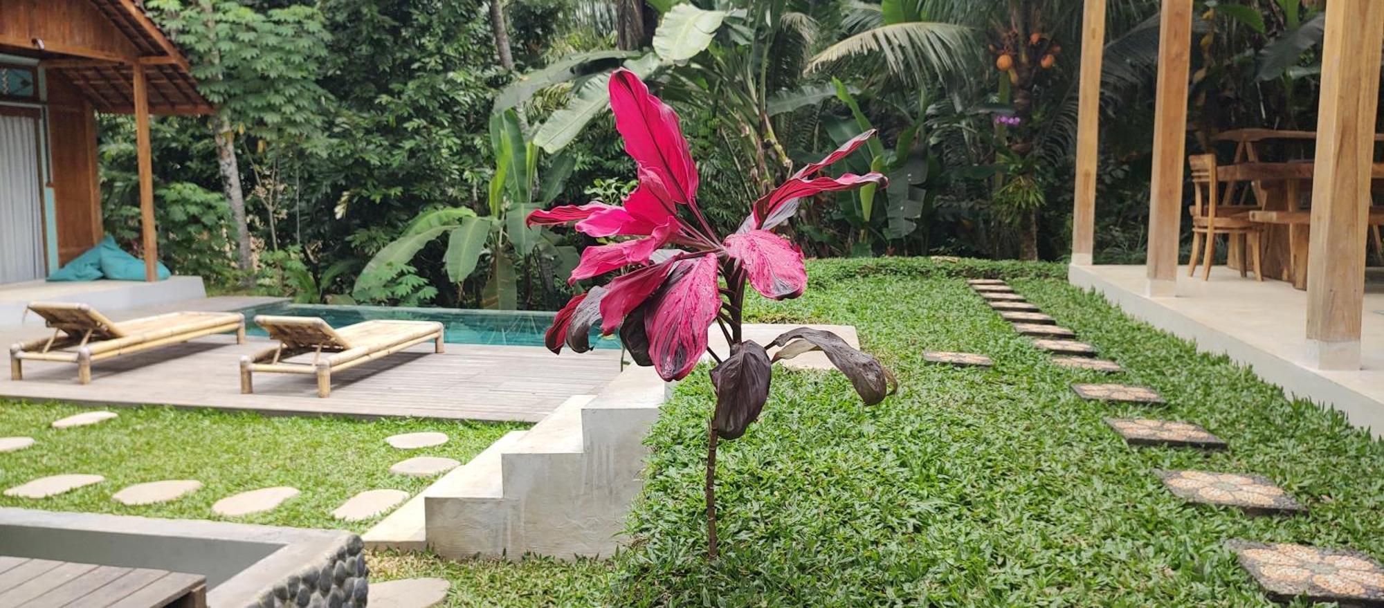 Rumah Guci Ubud  Ngoại thất bức ảnh