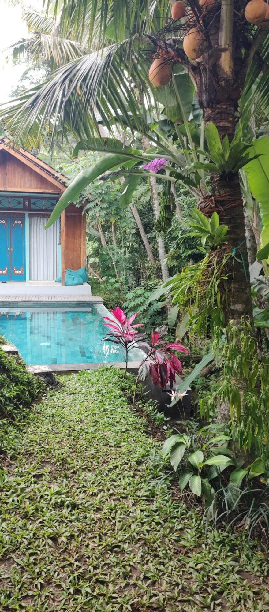Rumah Guci Ubud  Ngoại thất bức ảnh