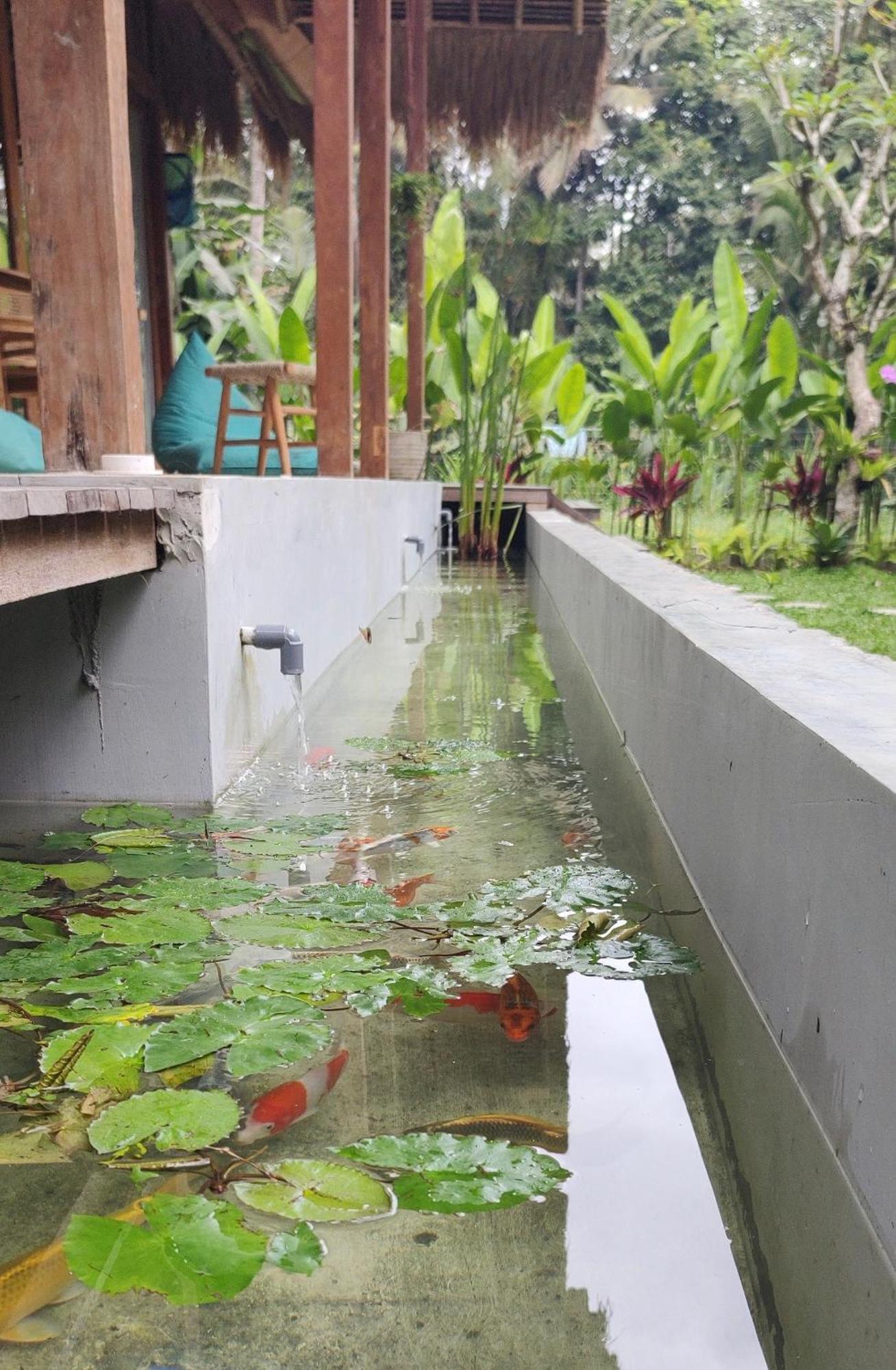 Rumah Guci Ubud  Ngoại thất bức ảnh